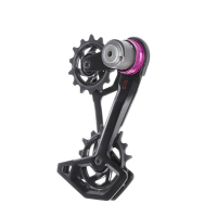 Repuesto SRAM para Cambio Trasero GX T-Type EAGLE AXS Jaula Completa 11.7518.104.019