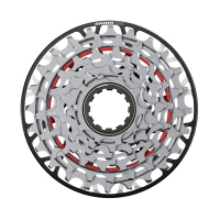 Cassette de Piñones SRAM XS-797 T-Type 7P 10-24 Downhill XD 00.2418.163.000