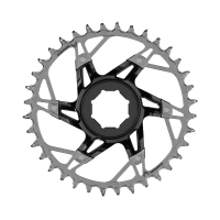 Disco para Multiplicación SRAM MTB XX T-TYPE 36D Brose Montaje Directo 11.6218.060.001