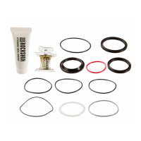 Repuesto ROCKSHOX Kit de Servicio 50hrs THRUSHAFT (2021-2024), GENERATION-C 00.4318.037.019
